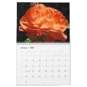 自然の写真カレンダー 色とりどりのオレンジの花 カレンダー (1月 2027)