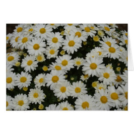 自然の写真撮影