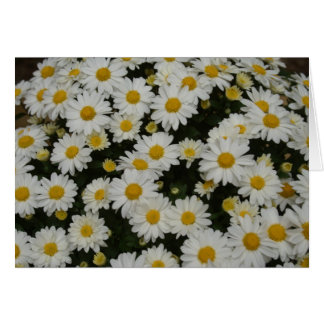 自然の写真撮影