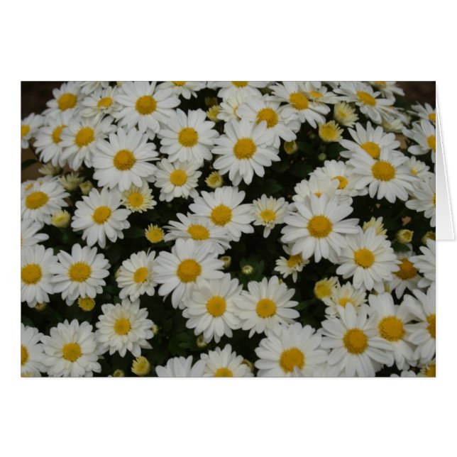 自然の写真撮影 (正面横)