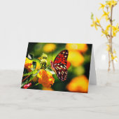 自然の写真撮影 カード (黄色い花)