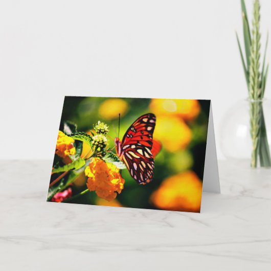 自然の写真撮影 カード (正面)