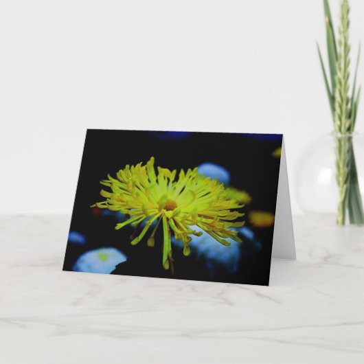 自然の写真撮影 カード (正面)