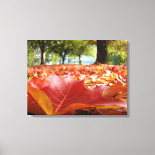 自然の写真 壁掛けアート装飾 紅葉 赤 キャンバスプリント