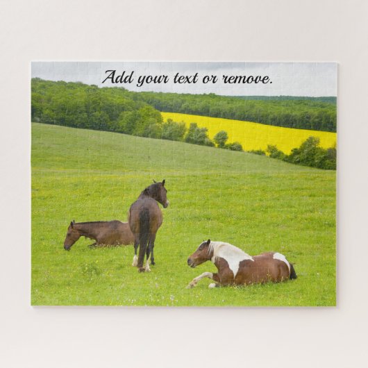 自然の写真、草原に生えている茶色の馬: ジグソーパズル (横)