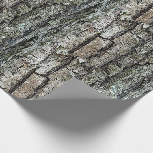 自然の古いマツ吠え声 ラッピングペーパー (角)