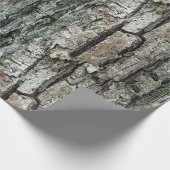 自然の古いマツ吠え声 ラッピングペーパー (角)