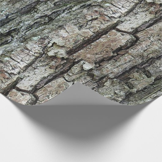 自然の古いマツ吠え声 ラッピングペーパー (角)