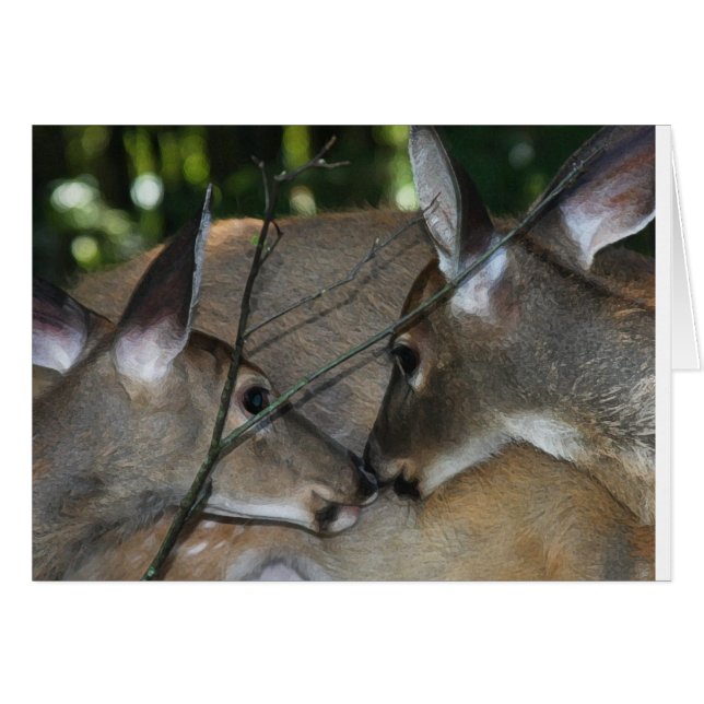 自然の同情及び点 (正面横)