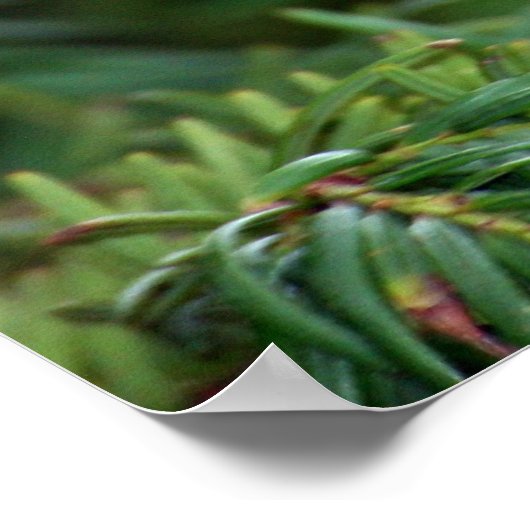 自然の喜び ポスター (角)