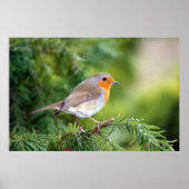 自然の喜び ポスター (正面)