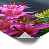 「自然の囁き声：ハミングバード、滝 ポスター (角)