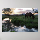 自然の夕日 ポスター (正面)