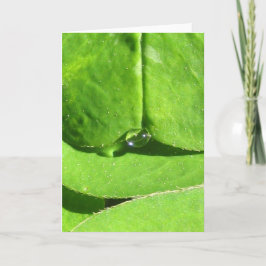 自然の女神クローバー カード