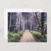 自然の完成 ポストカード (正面/裏面)