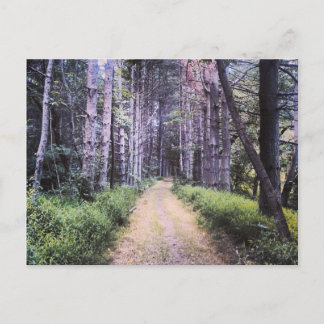 自然の完成 ポストカード