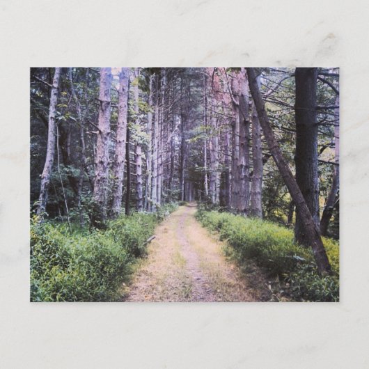 自然の完成 ポストカード (正面)