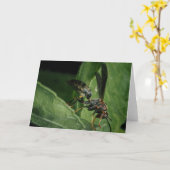自然の小さな飛行家 カード (黄色い花)