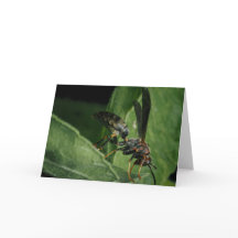 自然の小さな飛行家