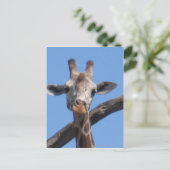 自然の岩 ポストカード (スタンド正面)