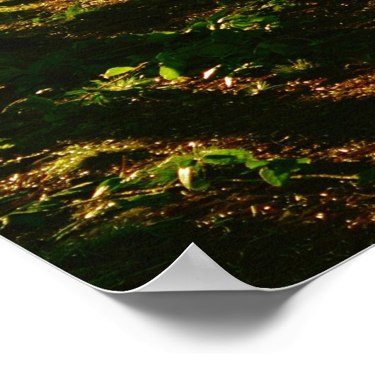 「自然の平和があなたに流れ込む」Jミュア引用文 ポスター (角)