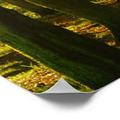 「自然の平和があなたに流れ込む」Jミュア引用文 ポスター (角)