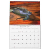 自然の年 カレンダー (2月 2027)