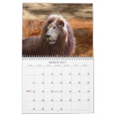 自然の年 カレンダー (3月 2027)