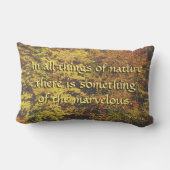 自然の引用文のLumbarの装飾用クッション ランバークッション (裏面)