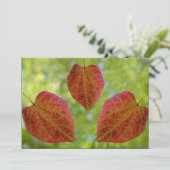 自然の愛離れの サンキューカード (スタンド正面)