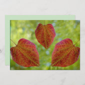 自然の愛離れの サンキューカード (正面/裏面)