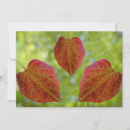 自然の愛離れの サンキューカード