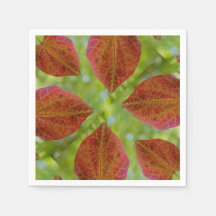 自然の愛離れの