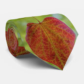 自然の愛離れの ネクタイ (ロール)