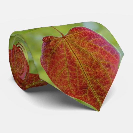 自然の愛離れの ネクタイ (ロール)