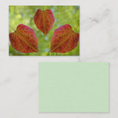 自然の愛離れの ノートカード (正面/裏面)