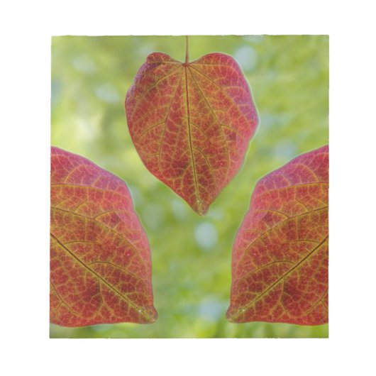 自然の愛離れの ノートパッド (正面)