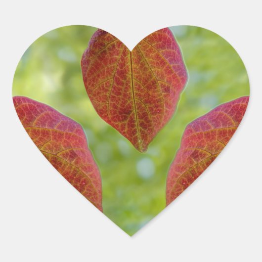 自然の愛離れの ハートシール (正面)