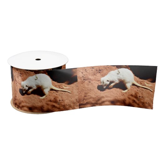 自然の捕獲者：白いメルカト虫を掘る サテンリボン (リール)