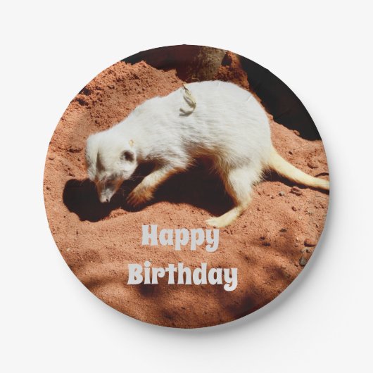 自然の捕獲者：白いメルカト虫を掘る ペーパープレート (正面)