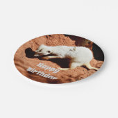 自然の捕獲者：白いメルカト虫を掘る ペーパープレート (アングル)