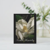 自然の更新 ポストカード (スタンド正面)