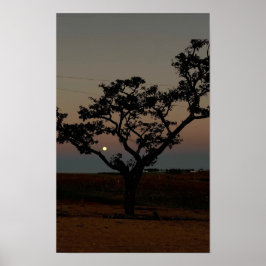 自然の木と夕焼けの壁の写真　田舎風のインテリア ポスター