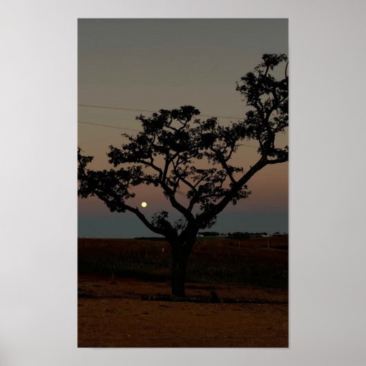 自然の木と夕焼けの壁の写真　田舎風のインテリア ポスター (正面)
