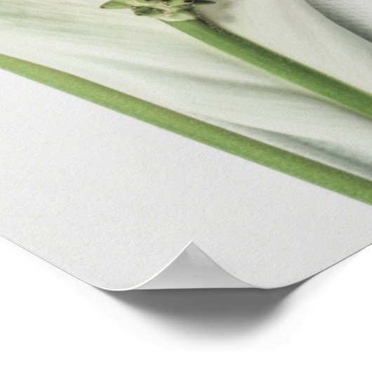 「自然の本質」 ポスター (角)