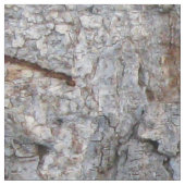 自然の樹皮の写真 ファブリック (クローズアップ)