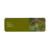 自然の残高 ラベル (正面)