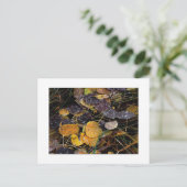 自然の氷柱 ポストカード (スタンド正面)