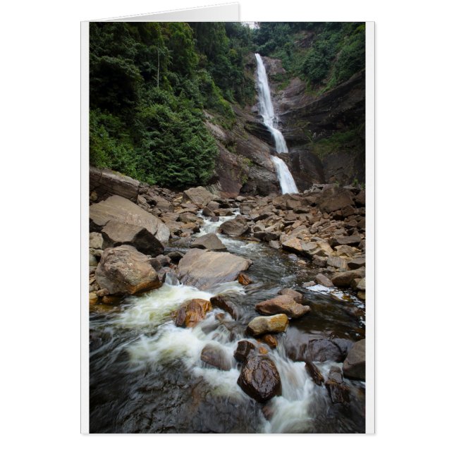 自然の滝と川 (正面)