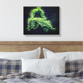 自然の玉座の野生の葉のつる植物 キャンバスプリント (インサイチュ (寝室))